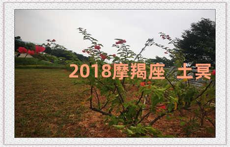 2018摩羯座  土冥